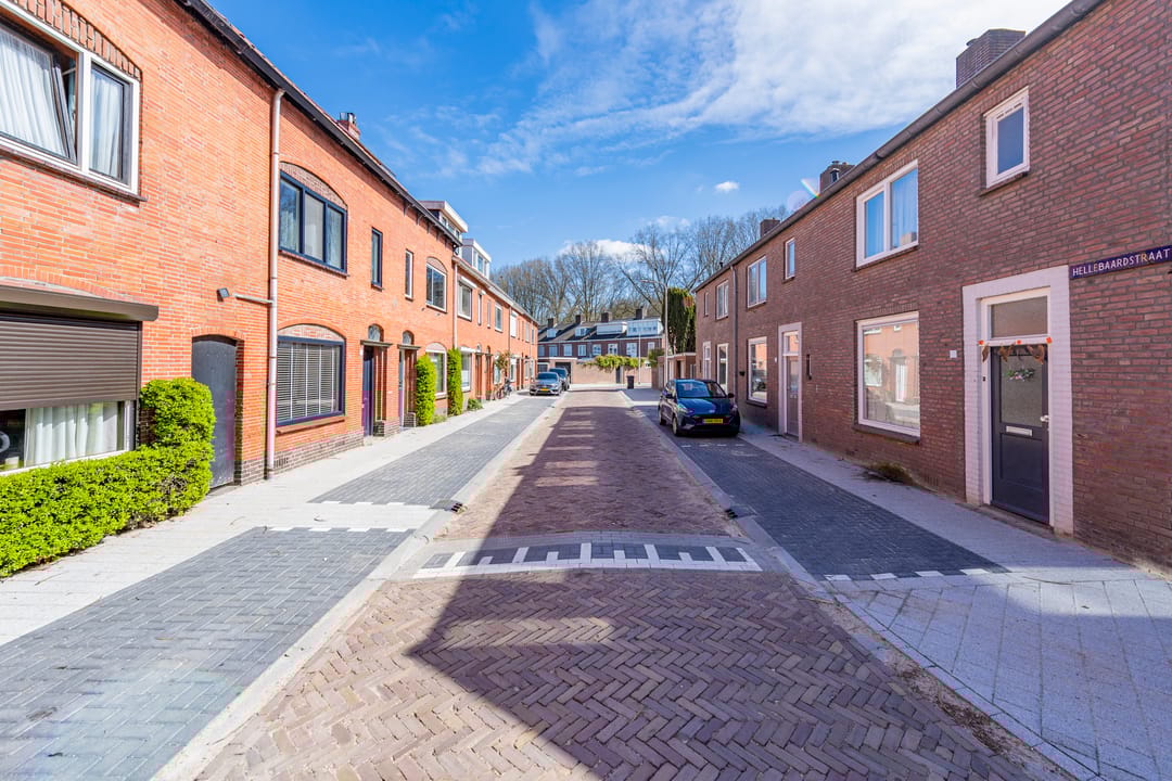 Foto 31 van Hellebaardstraat 8