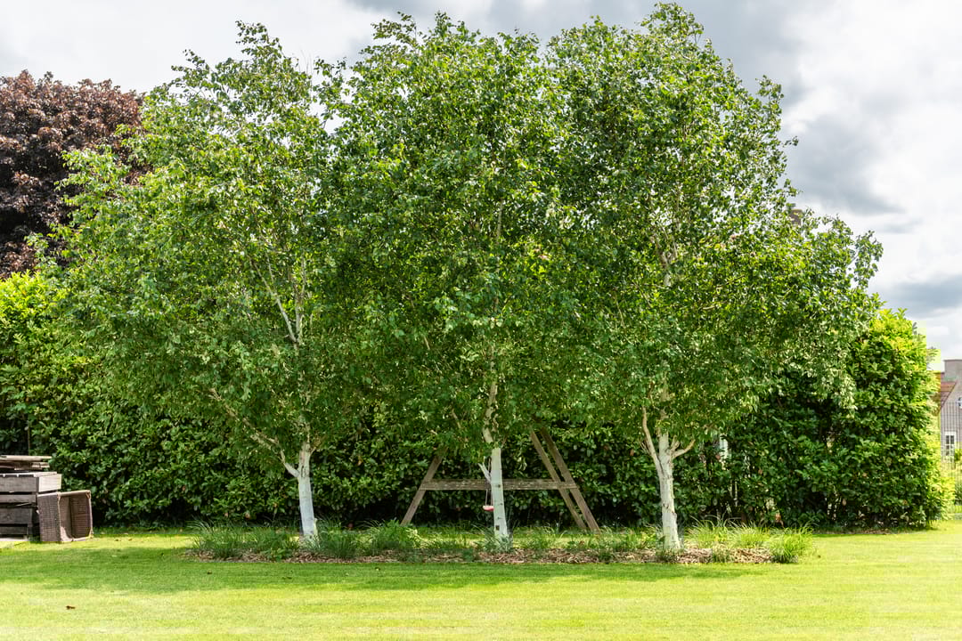 Foto 26 van Herenweg 29