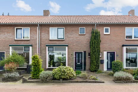 Anjerstraat thumbnail
