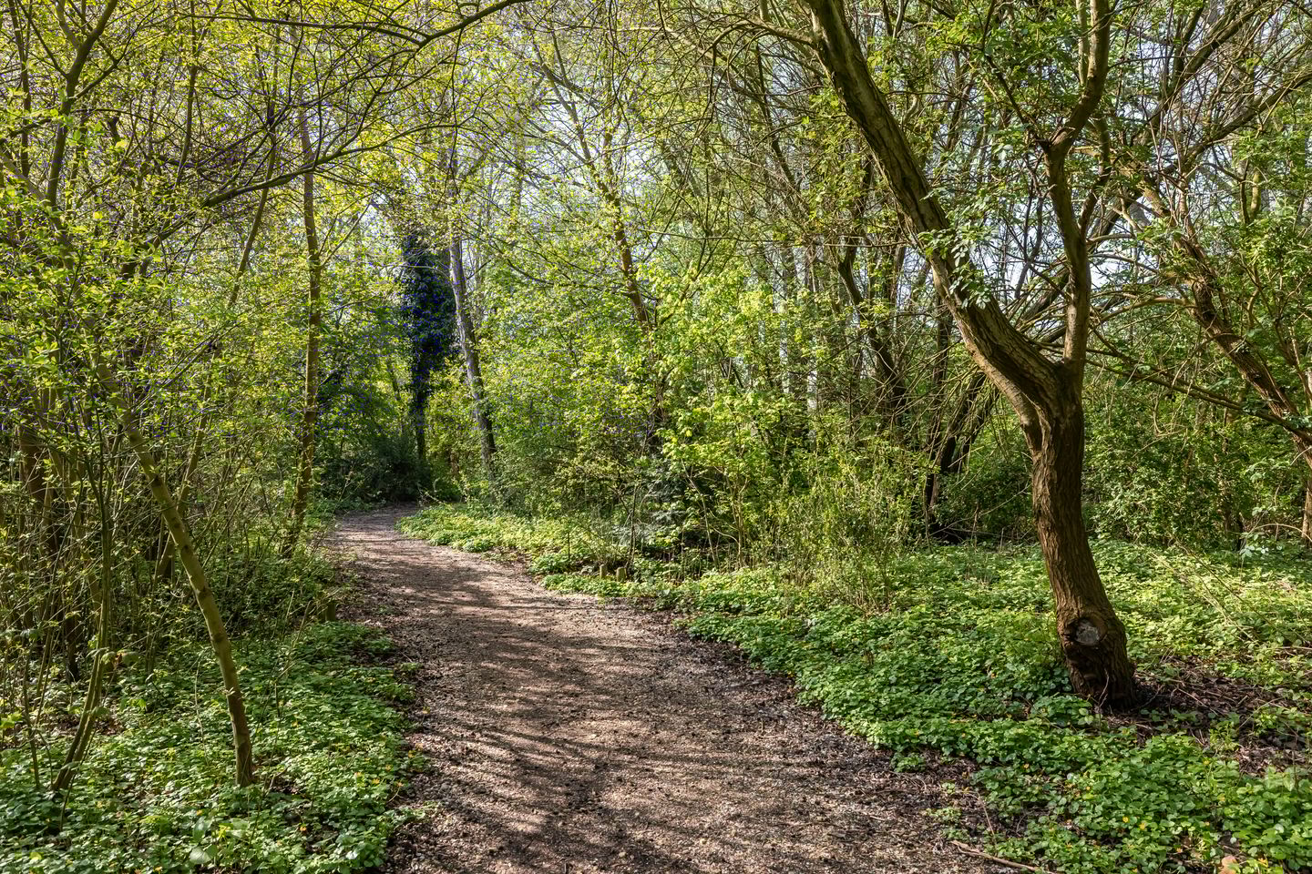 Foto 4 van Lichtboei 123