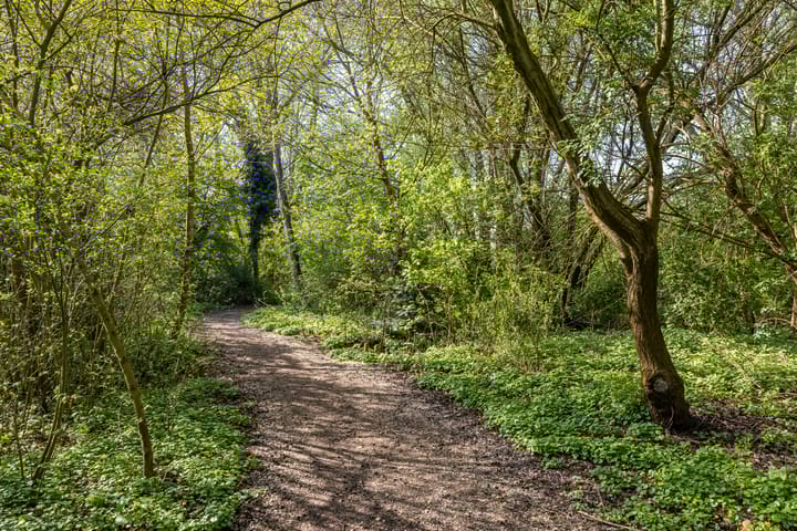 Foto 4 van Lichtboei 123