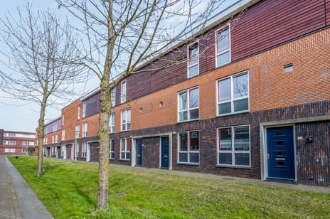 Dianaplantsoen thumbnail