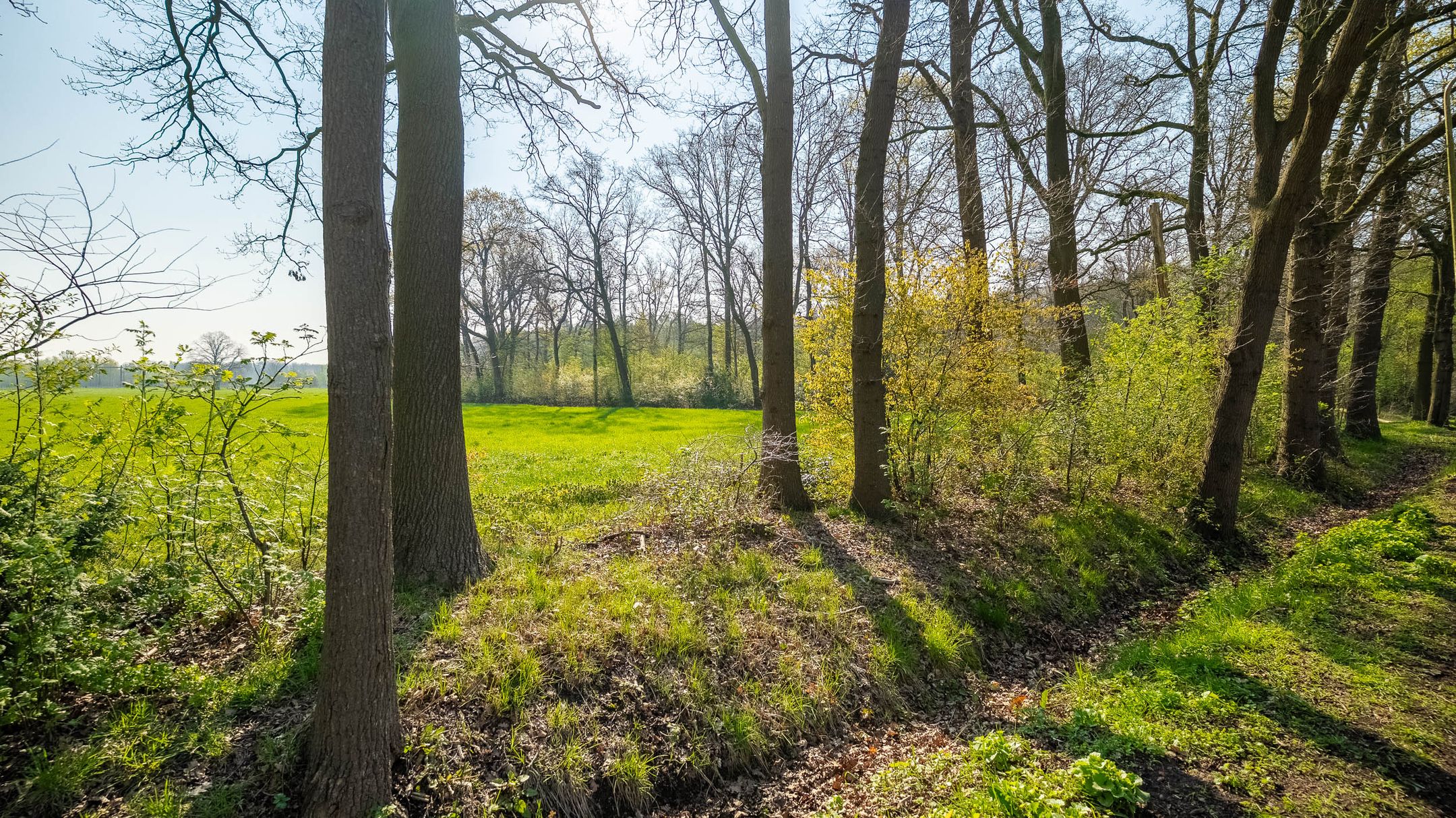 Foto 33 van Poortmanstraat 22