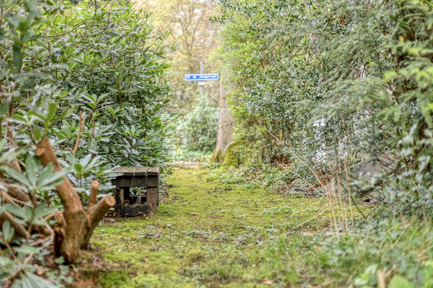 Foto 85 van Bosweg 175