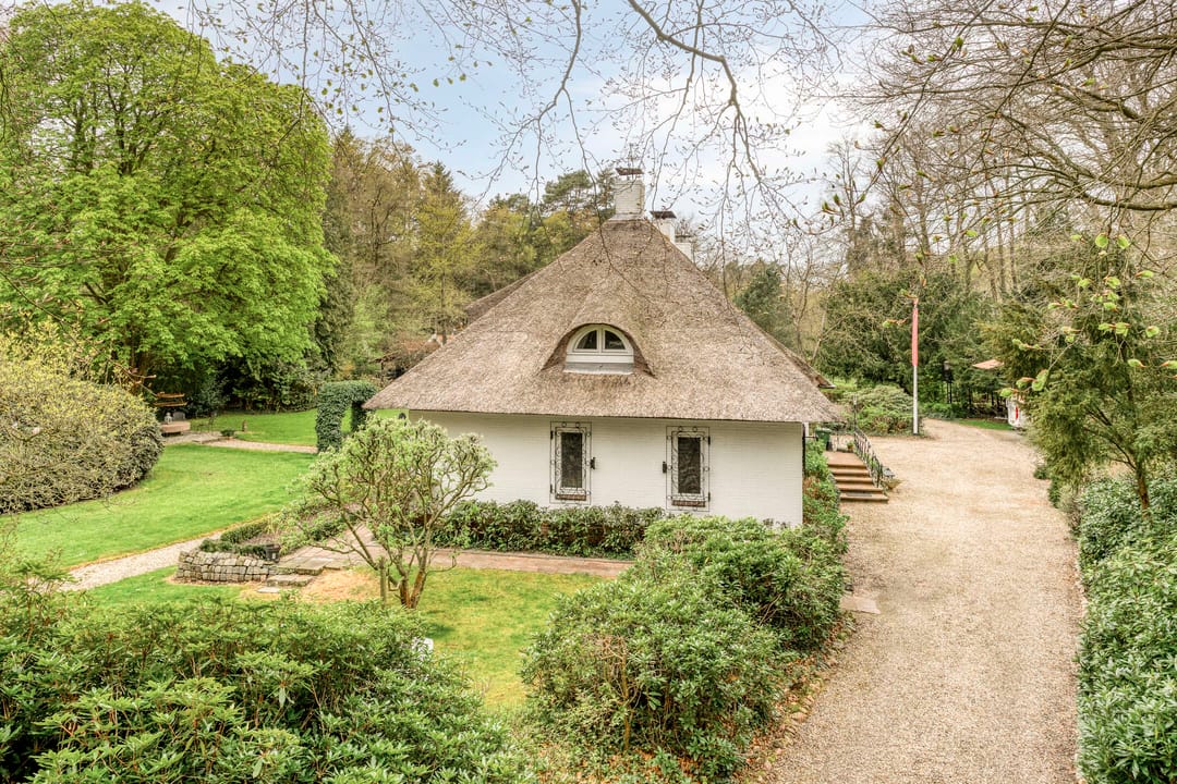 Foto 8 van Bosweg 175