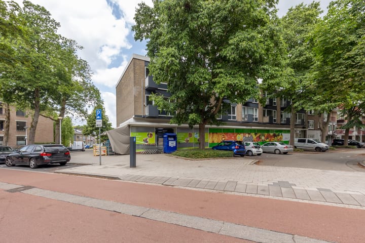 Foto 4 van Holsteinbastion 47-B