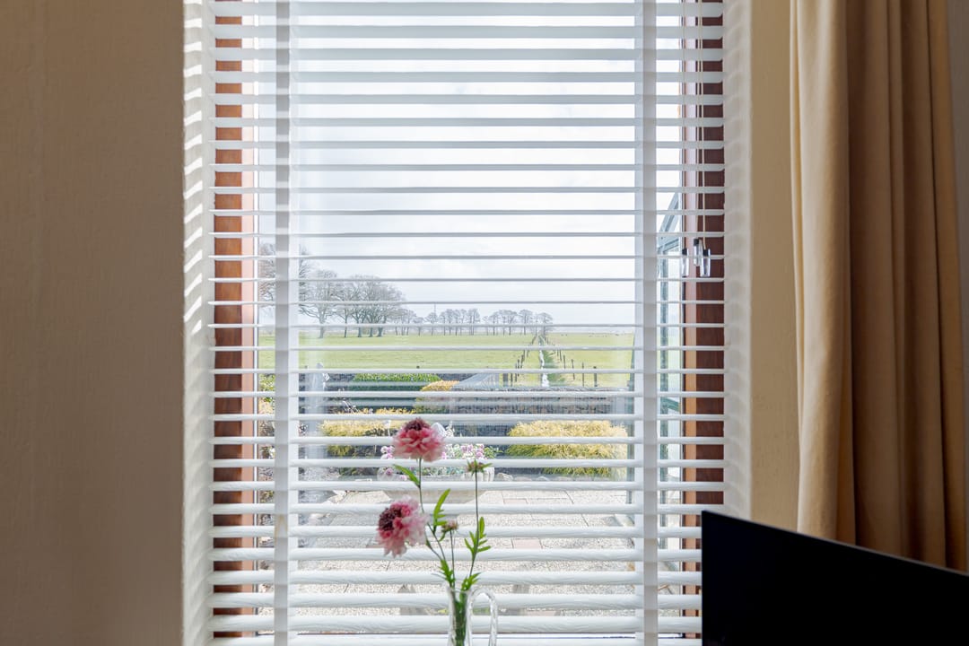 Foto 16 van de Pol 1