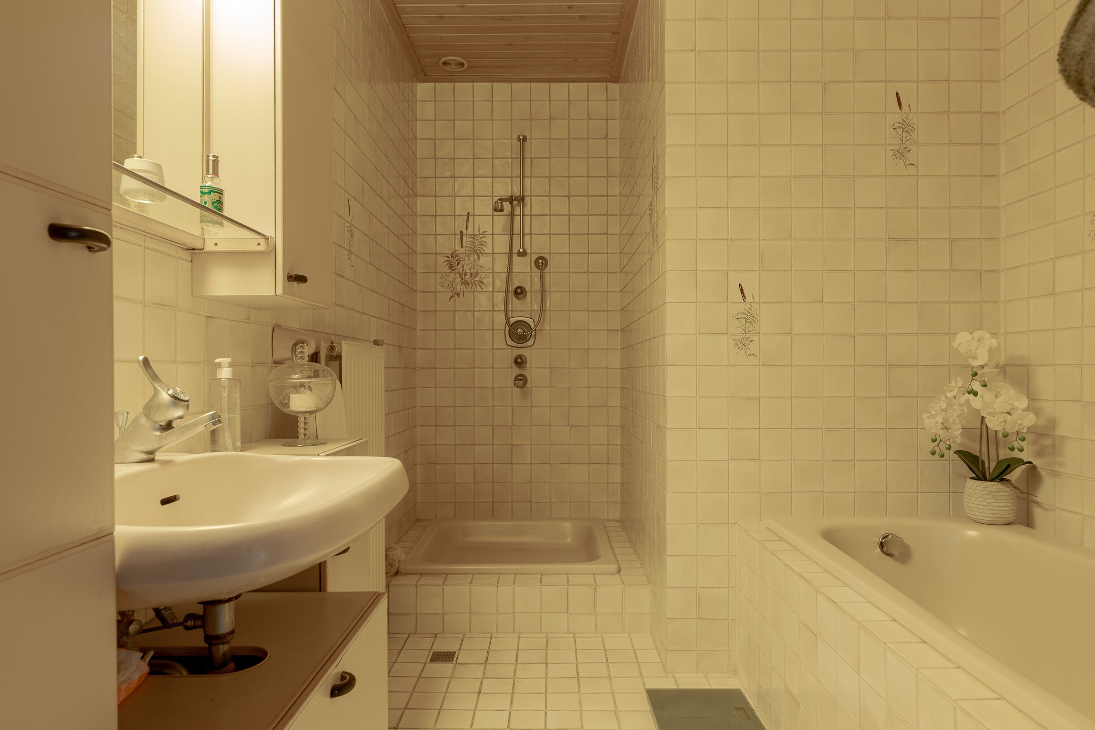 Foto 42 van de Pol 1