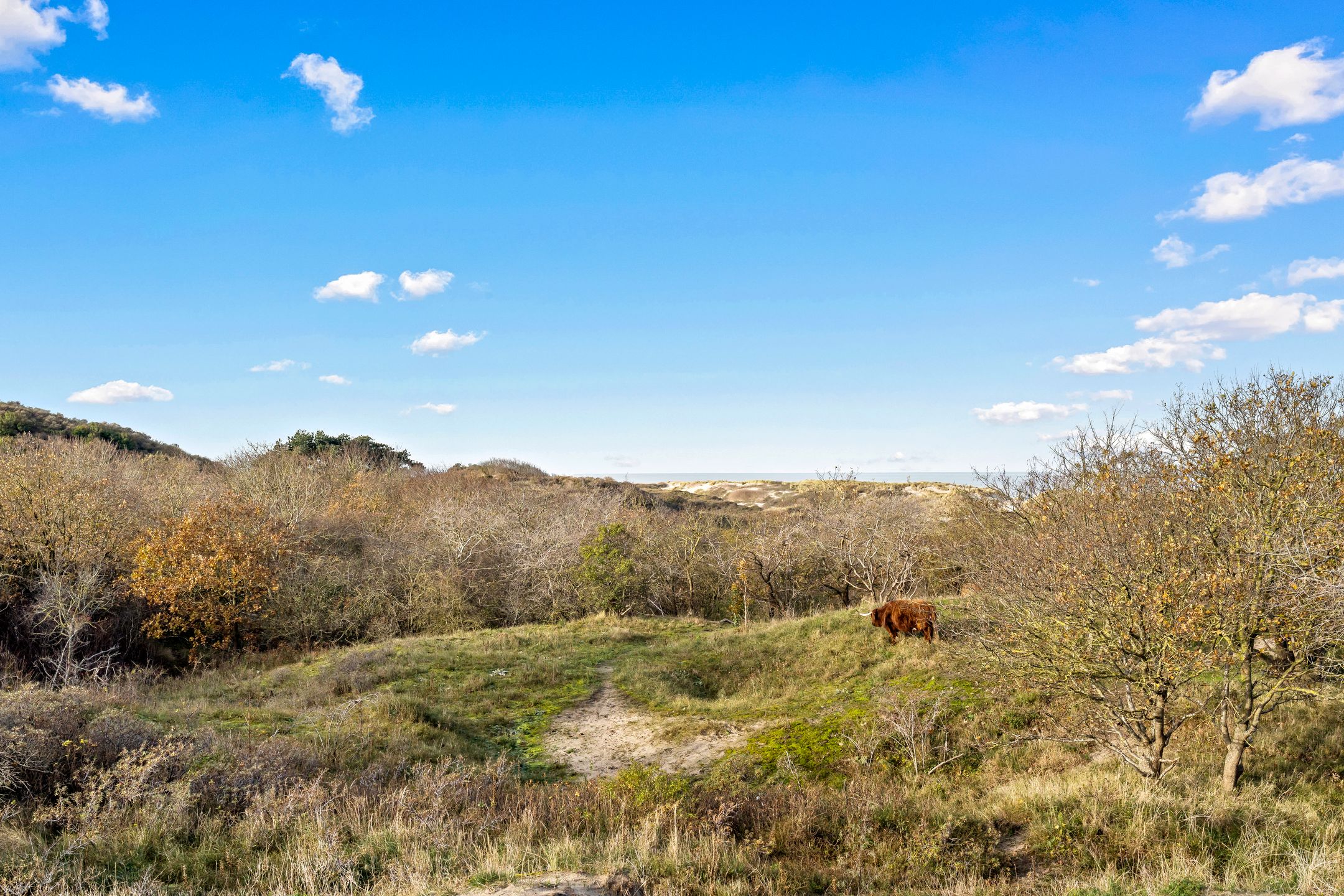 Photo 51 of Mozartlaan 153