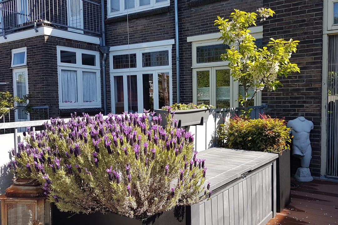 Photo 38 of Antonius Matthaeuslaan 56