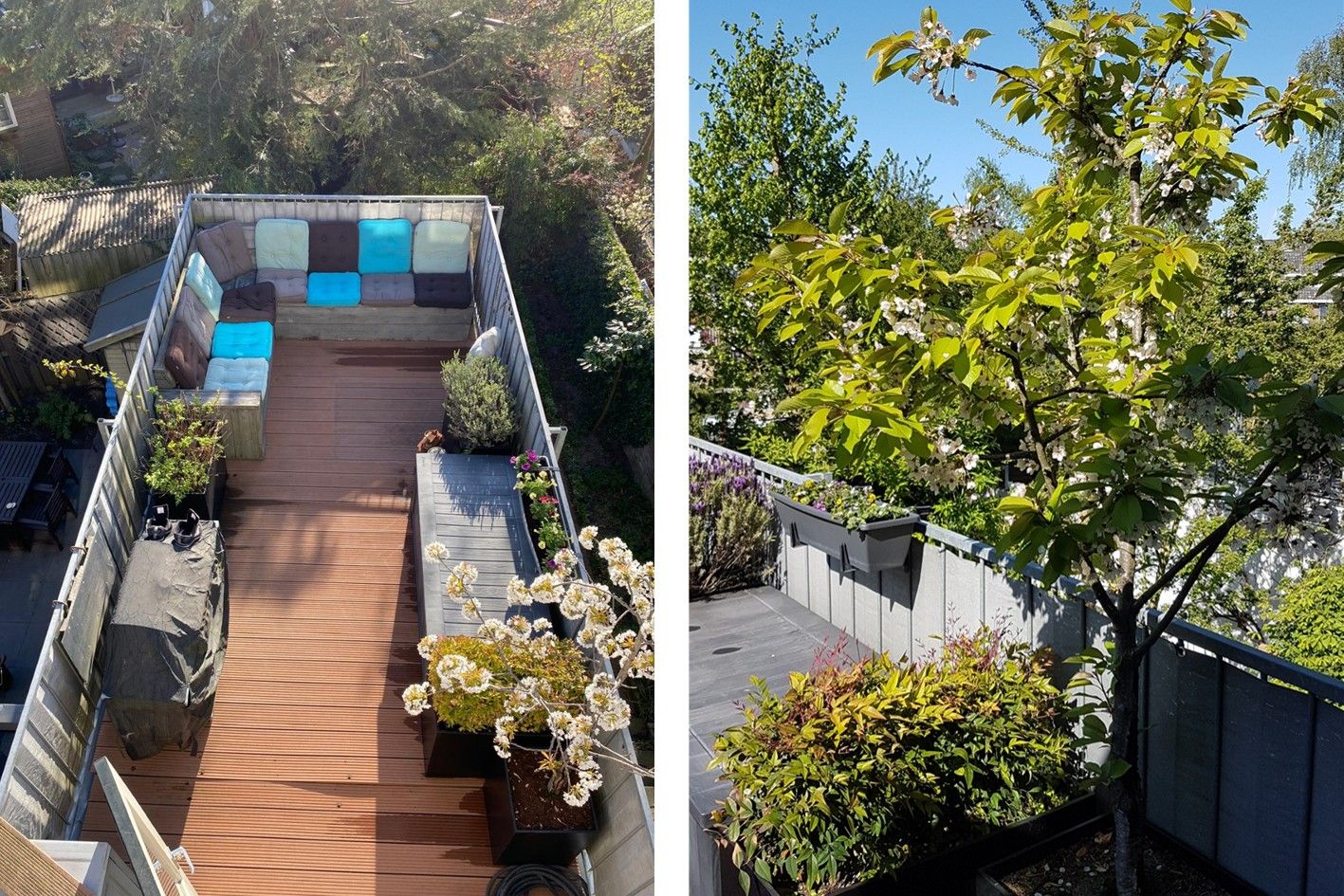 Photo 5 of Antonius Matthaeuslaan 56