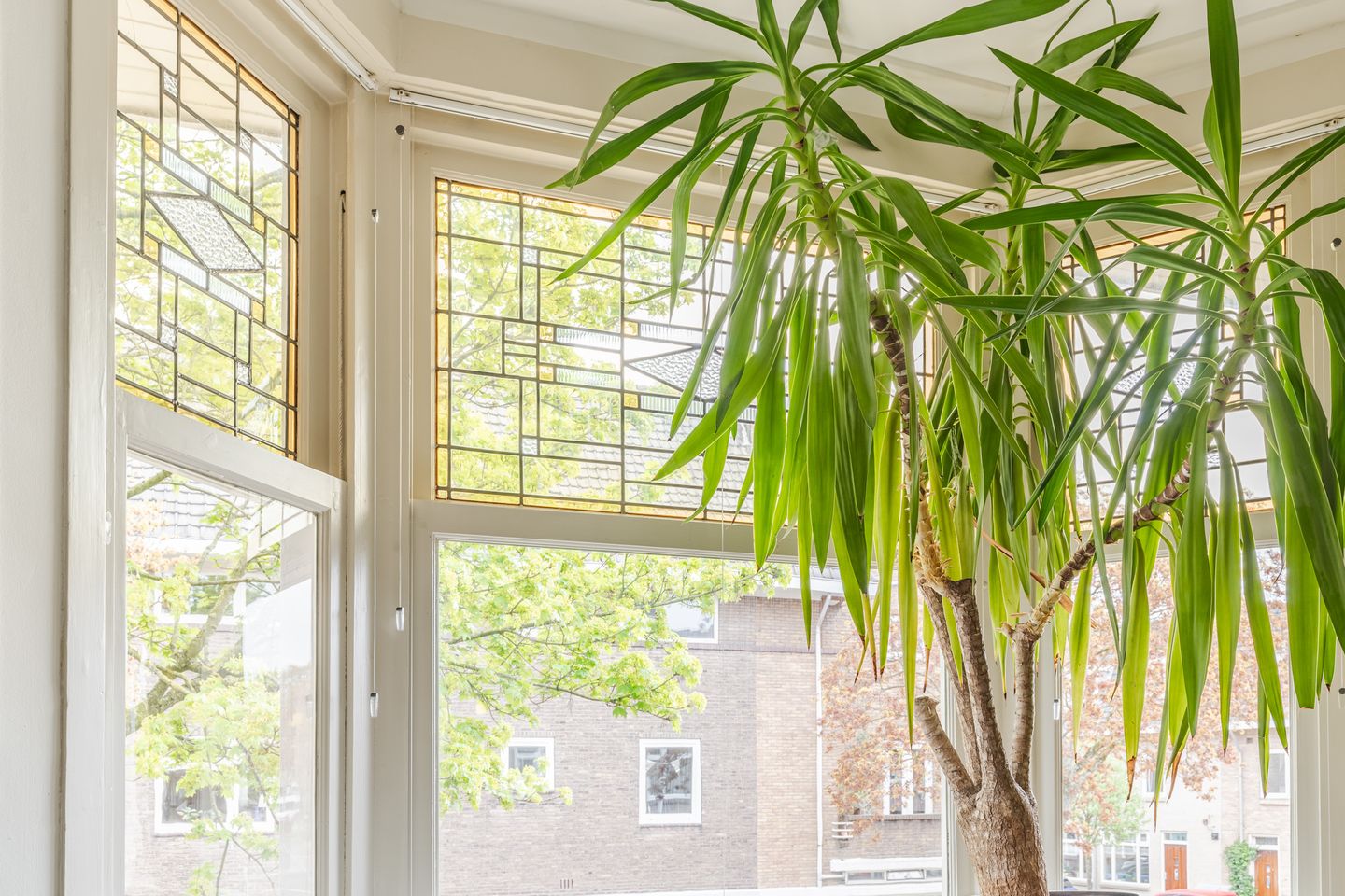 Photo 10 of Antonius Matthaeuslaan 56