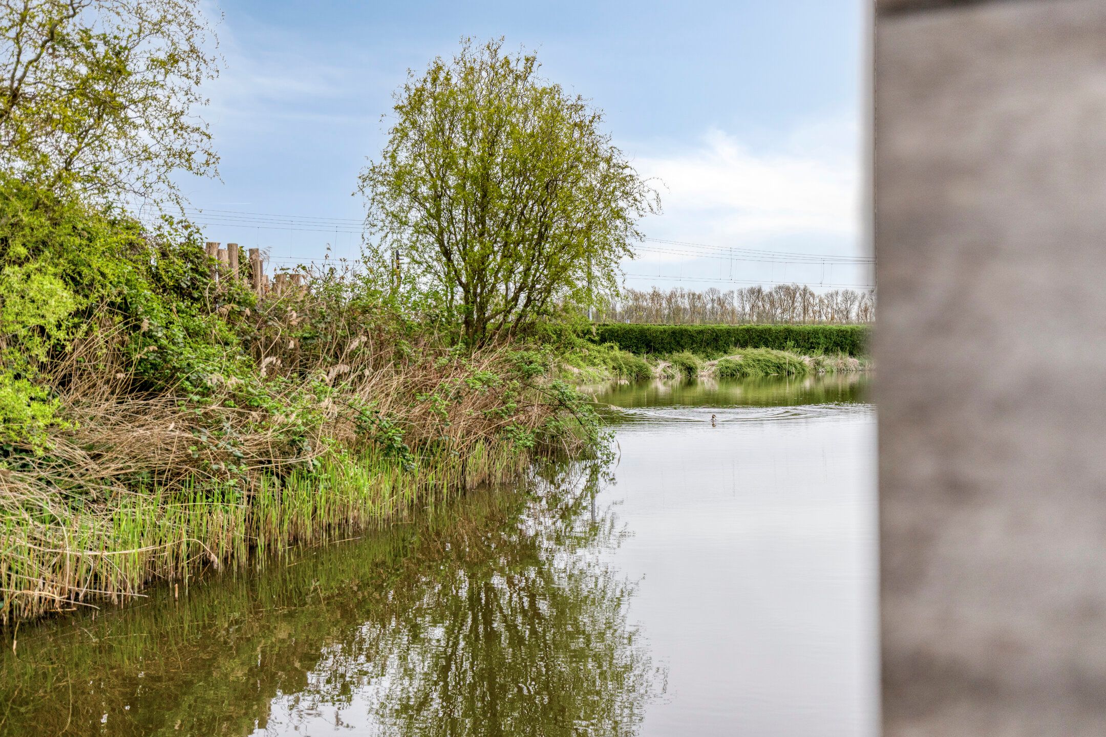 Foto 33 van Kruiskamplaan 35