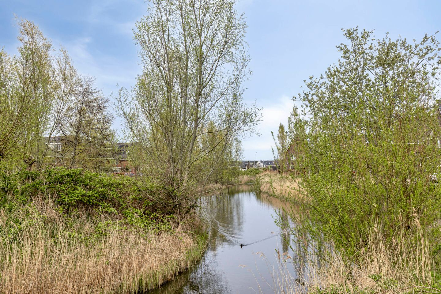 Foto 34 van Kruiskamplaan 35