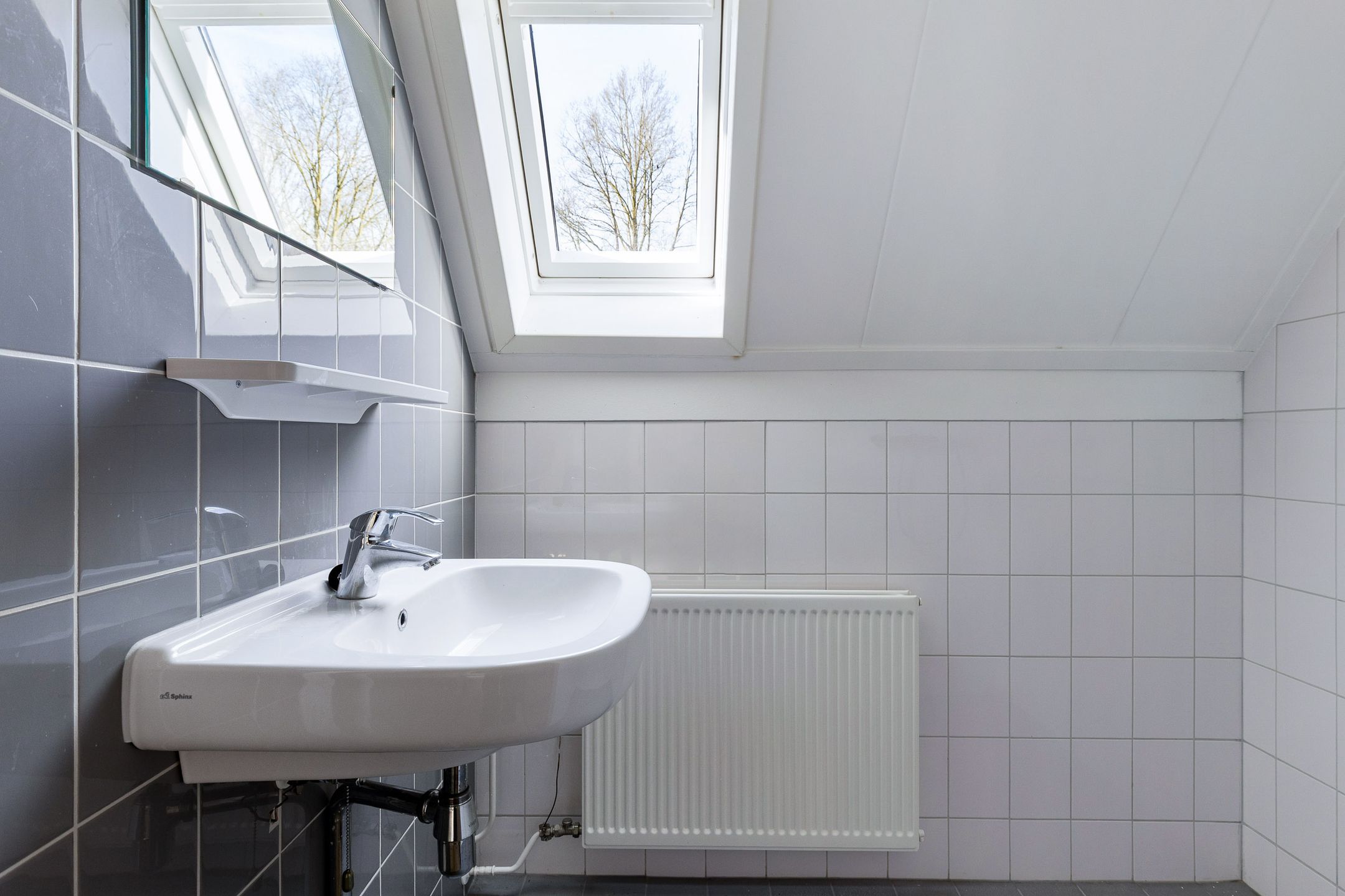 Foto 27 van Russchenreed 10