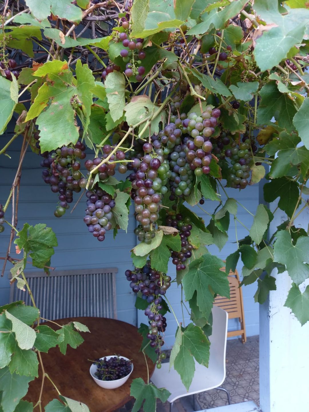 Foto 61 van Doornstraat 11