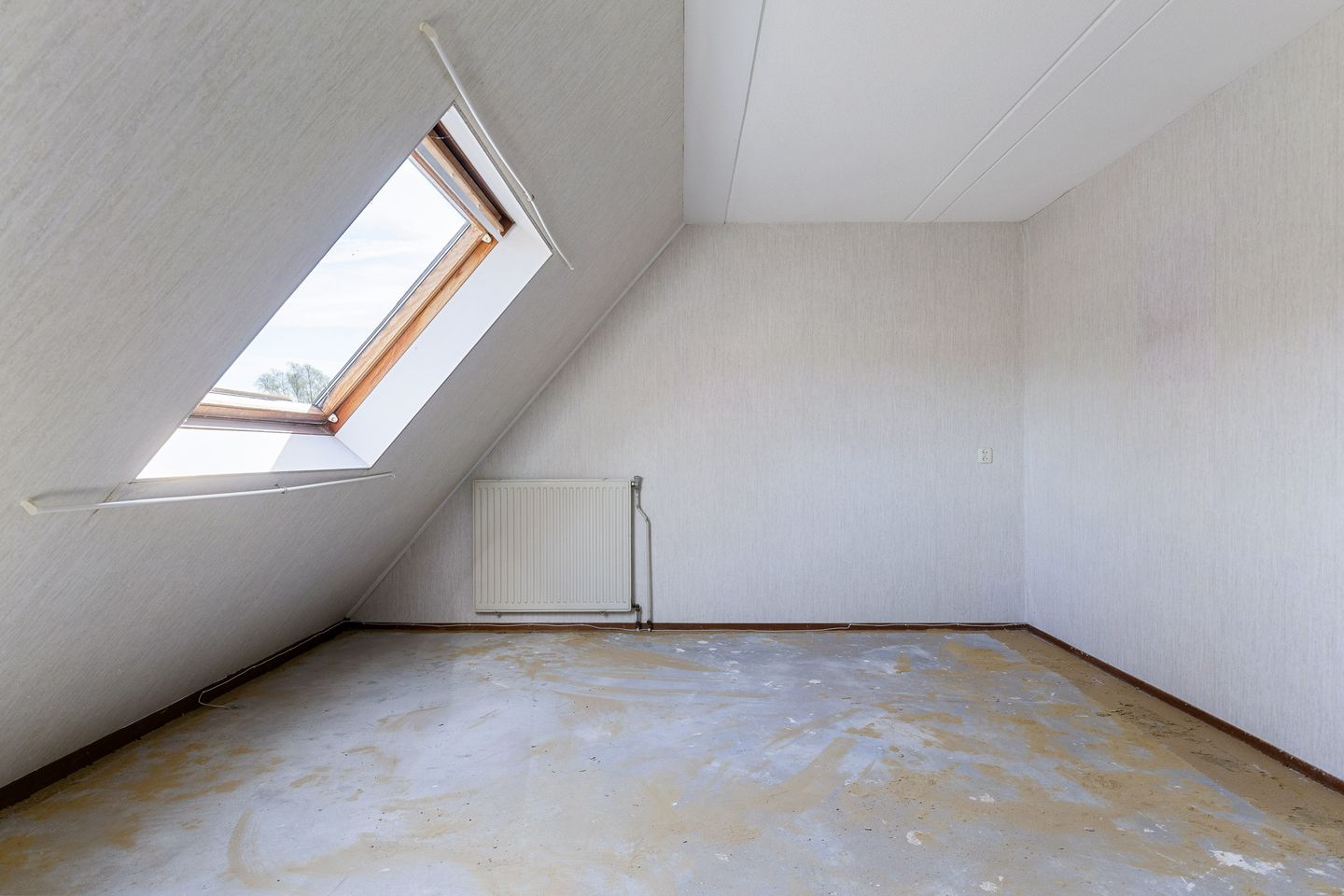 Foto 25 van Russchenreed 10