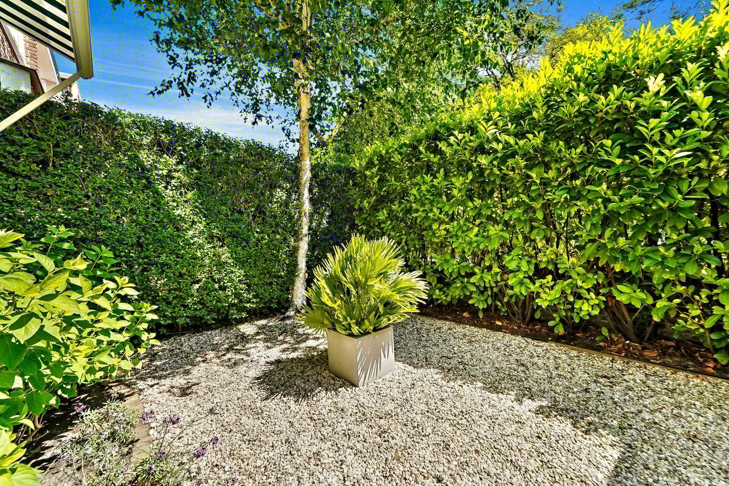 Foto 44 van Goetlijfstraat 98