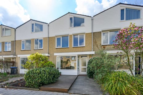 Willem-Alexanderplantsoen thumbnail