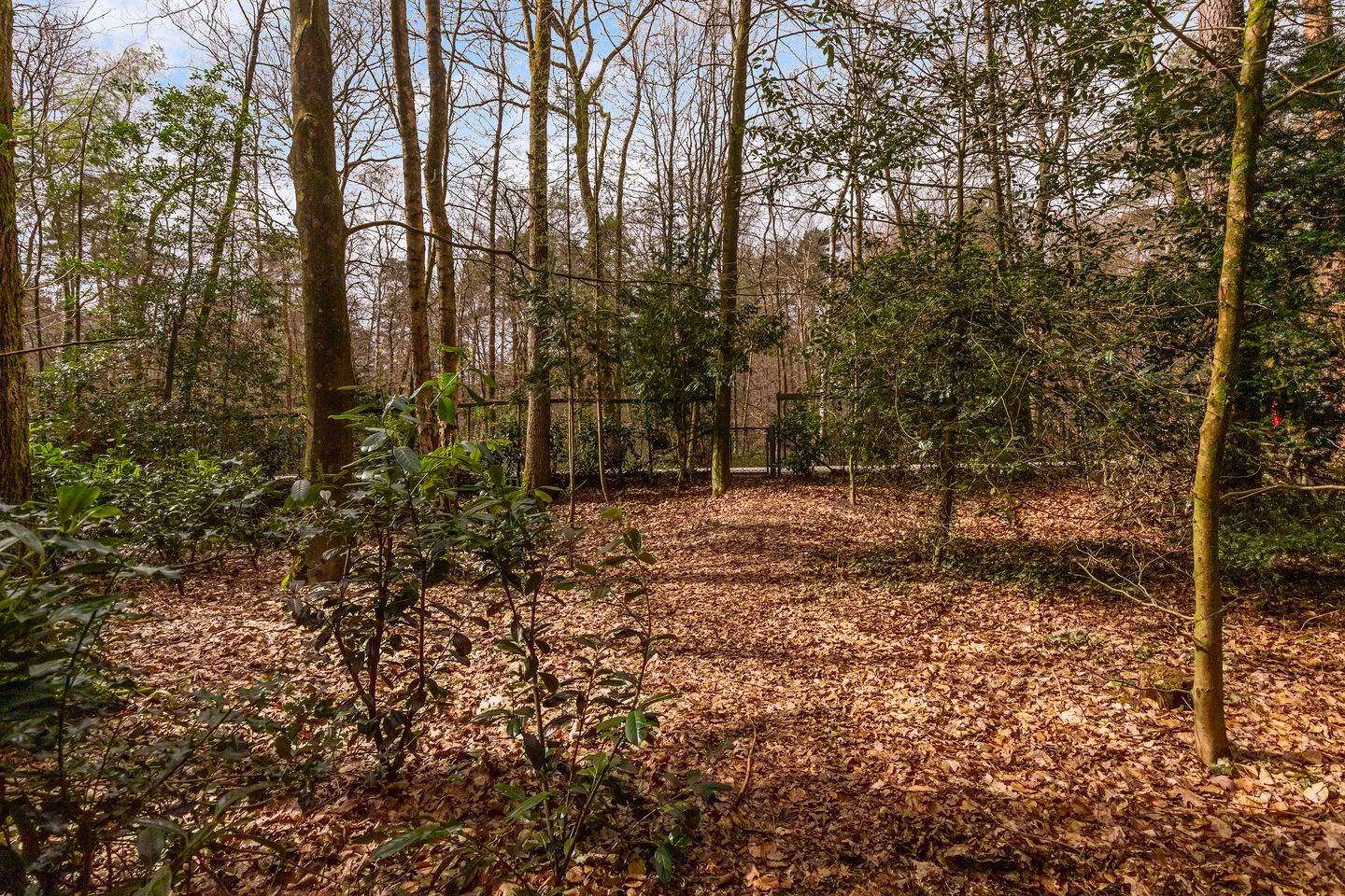 Foto 40 van Sparrenlaan 10