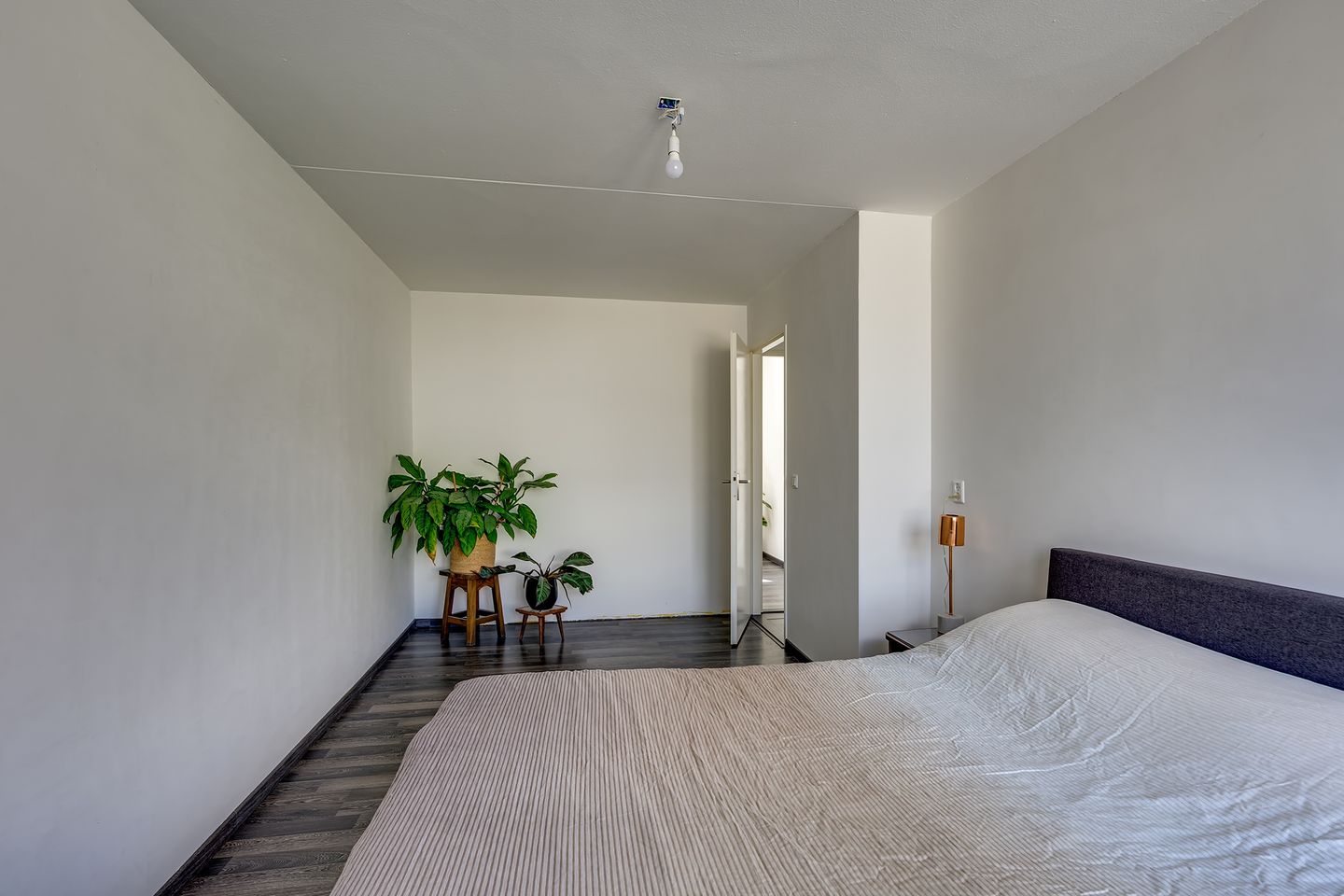 Photo 20 of Willem-Alexanderplantsoen 31