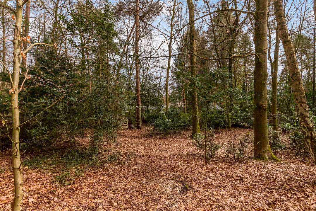 Foto 41 van Sparrenlaan 10