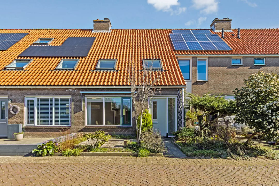 Foto 1 van Zwanebloem 11