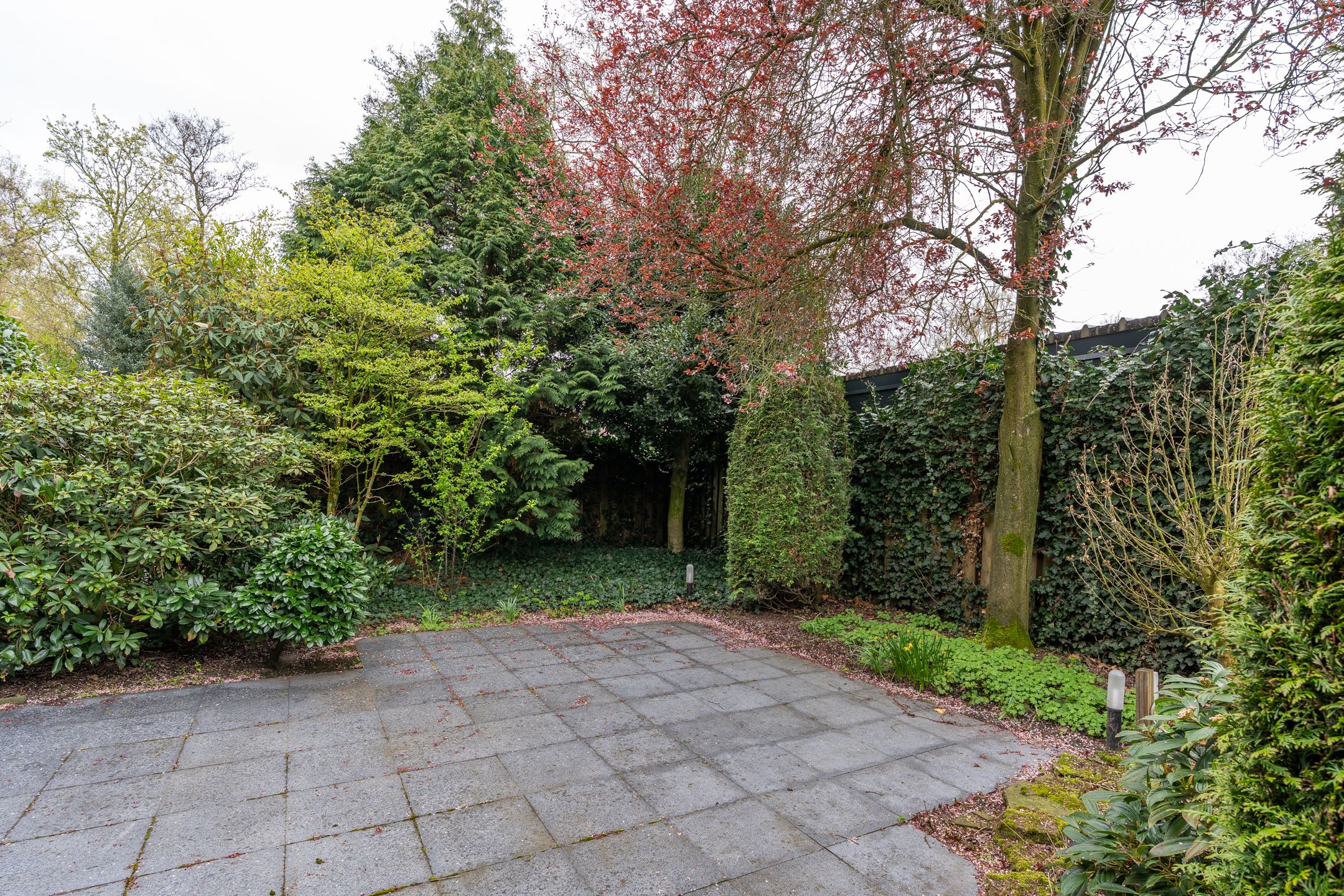 Photo 30 of Brouwerstraat 1