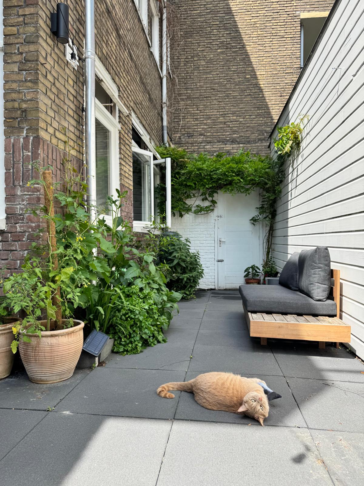 Foto 44 van Nieuwe Ebbingestraat 175