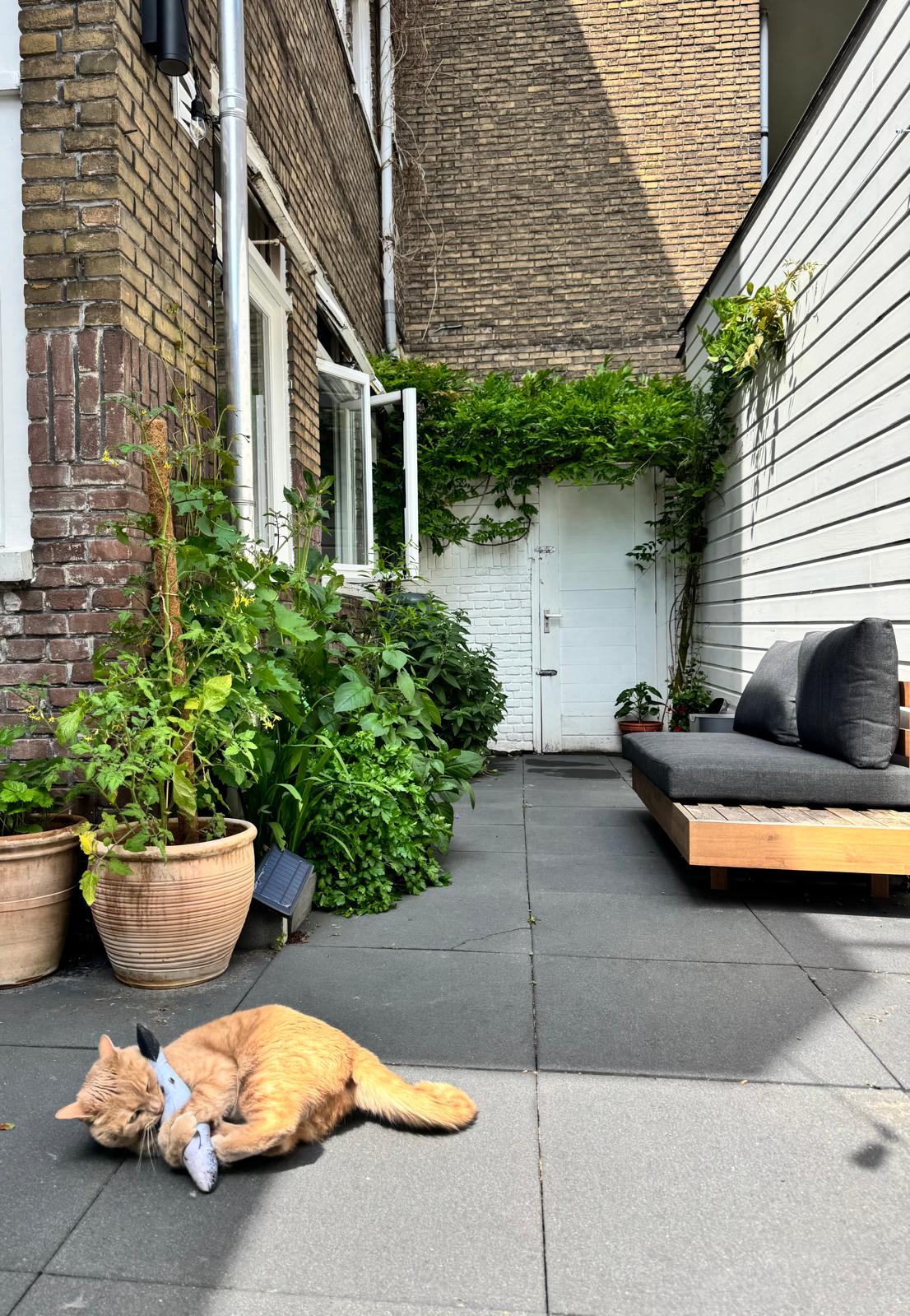 Foto 45 van Nieuwe Ebbingestraat 175
