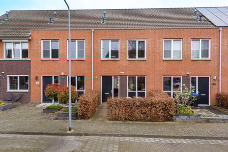 undefined main image