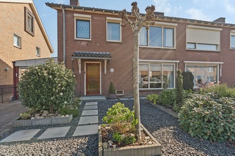 undefined main image