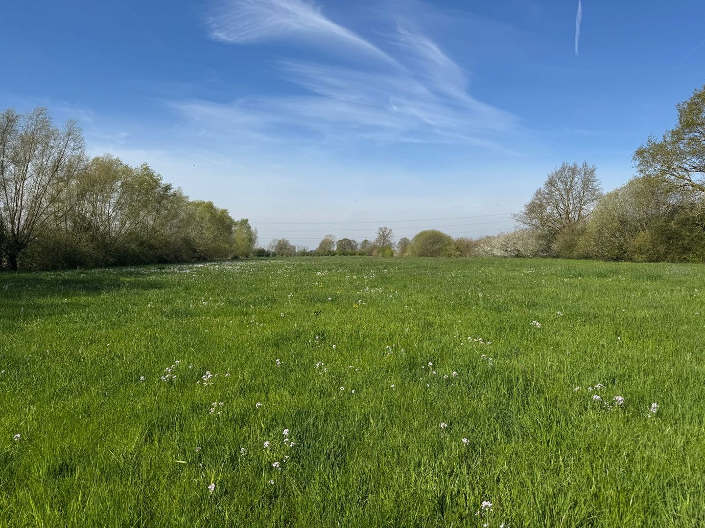 Bekijk foto 1 van Zeedijk