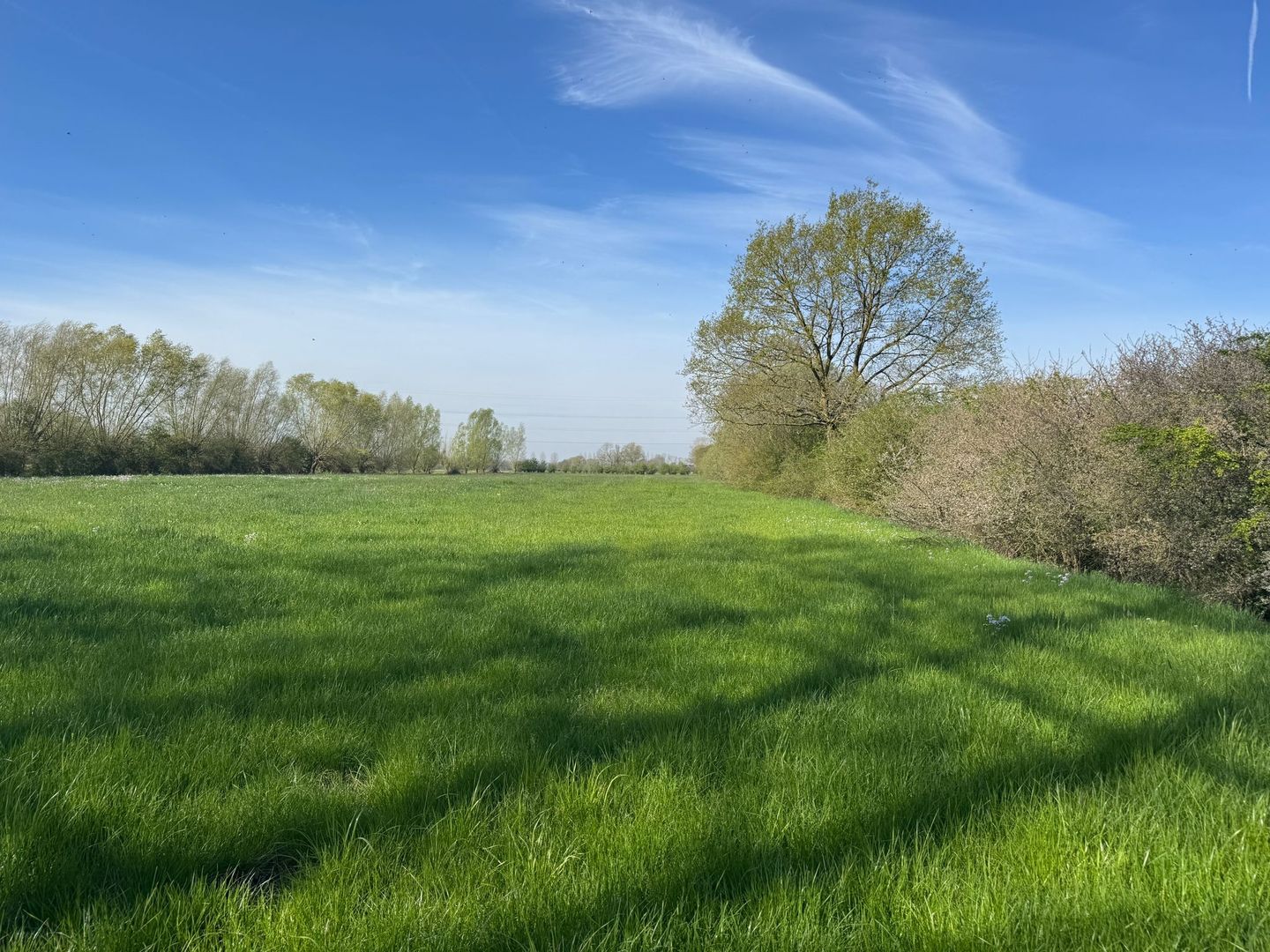 Bekijk foto 5 van Zeedijk