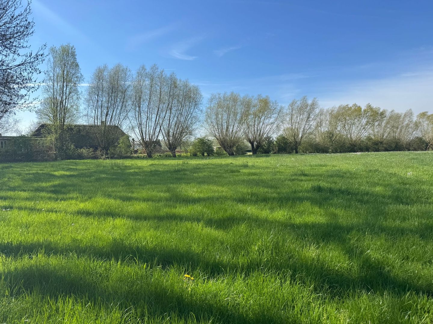 Zeedijk - Nijbroek - Afbeelding 7