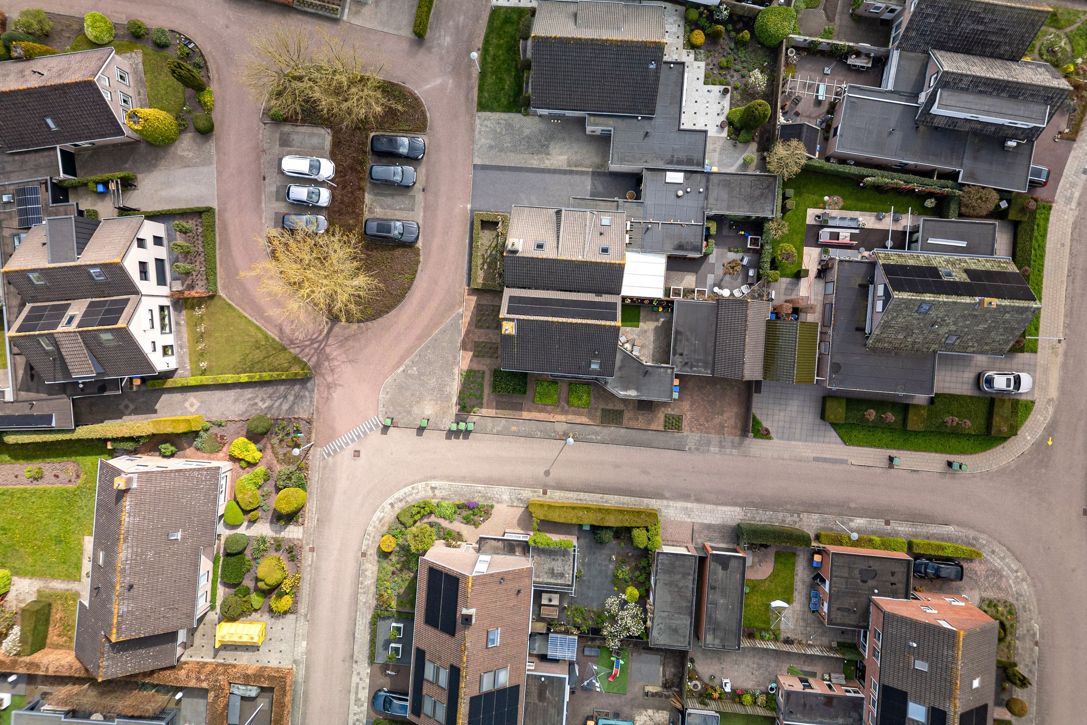 Foto 12 van Lisdodde 28