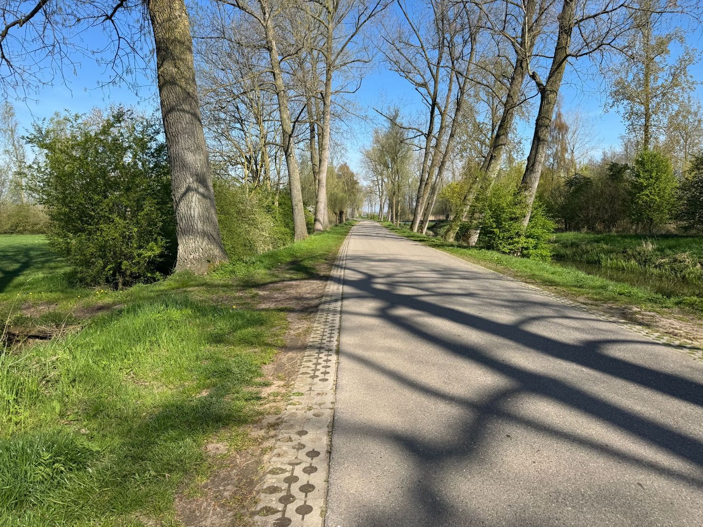 Bekijk foto 2 van Zeedijk