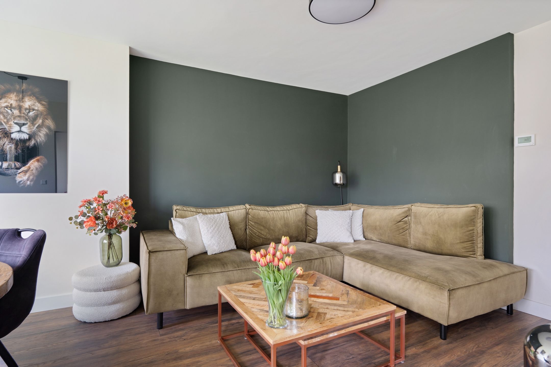 Foto 24 van Johan van de Veldestraat 99