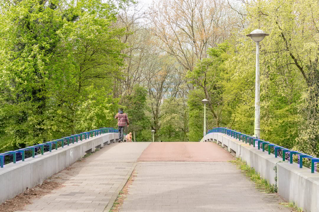 Foto 23 van Van Walbeeckstraat 32-1