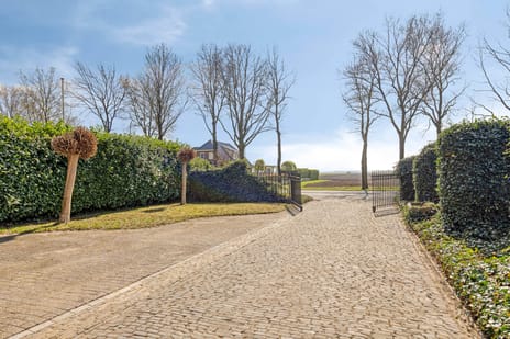 Zuiderdiep 65 secondary image