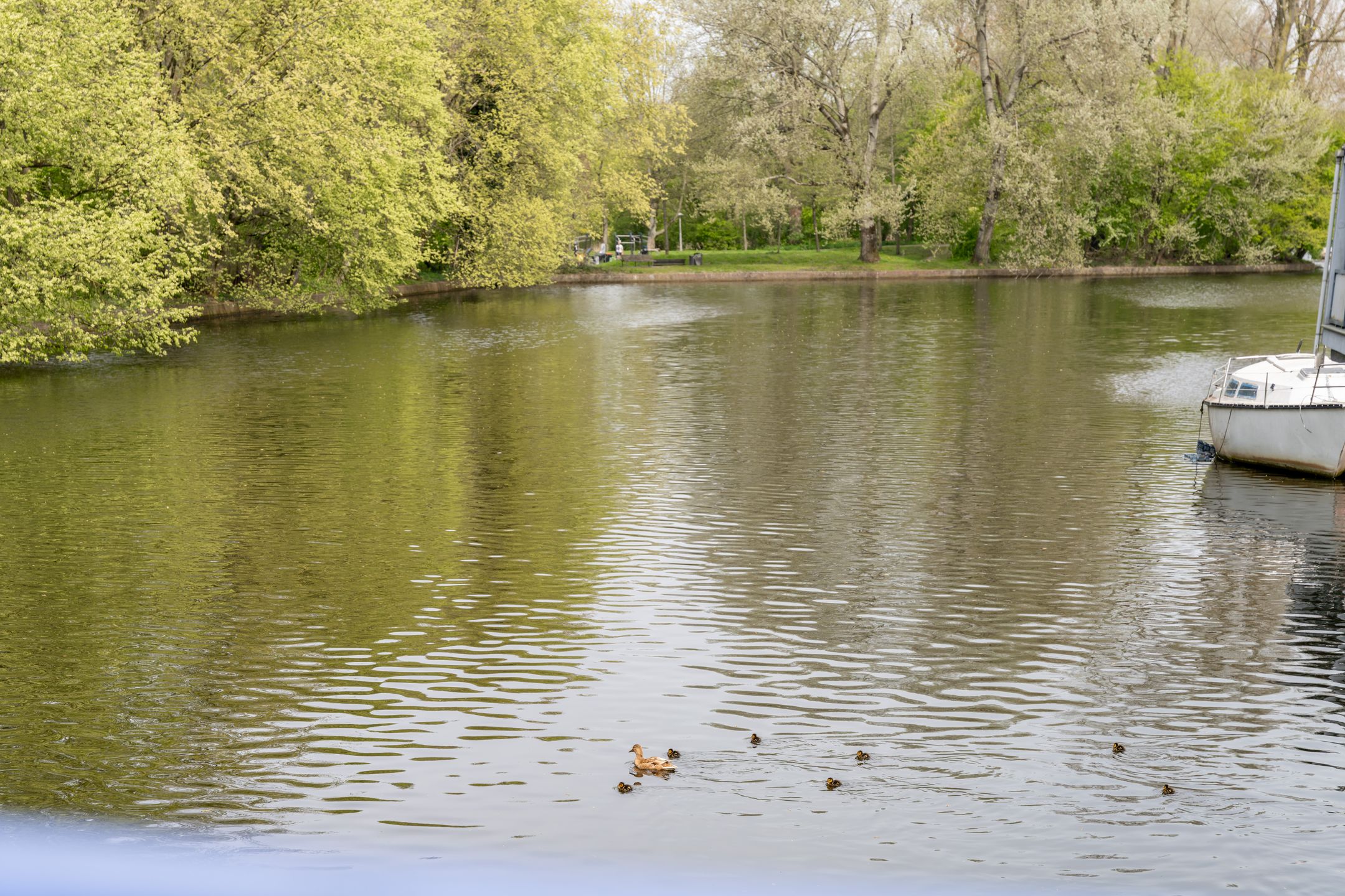 Foto 24 van Van Walbeeckstraat 32-1