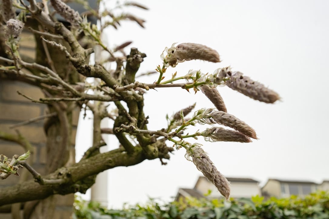 Foto 12 van Prins Bernhardstraat 8