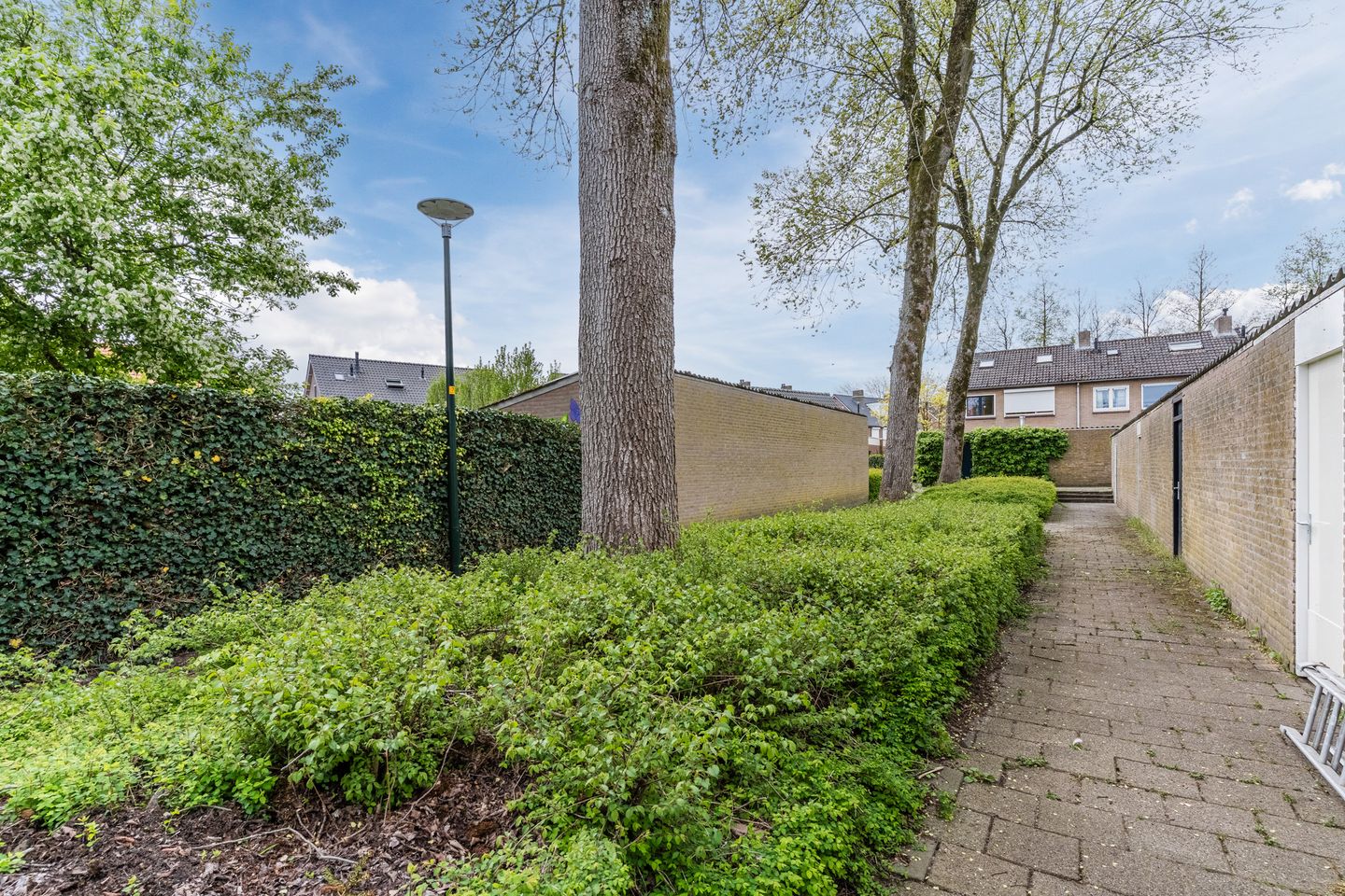 Foto 25 van Frederik van Eedenlaan 12