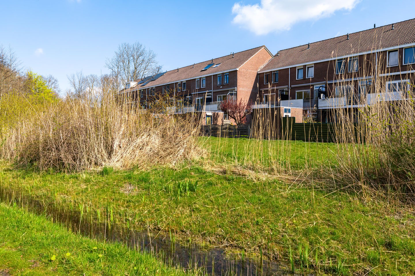 Photo 29 of Vaargeul 188