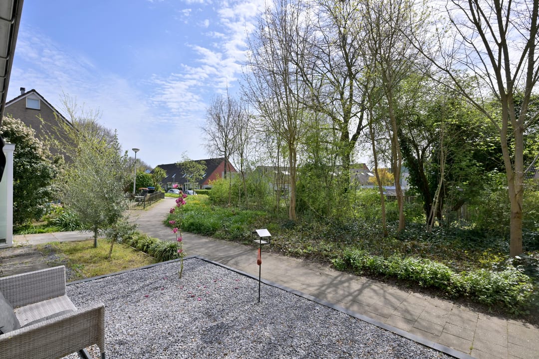 Foto 43 van Zenegroen 8