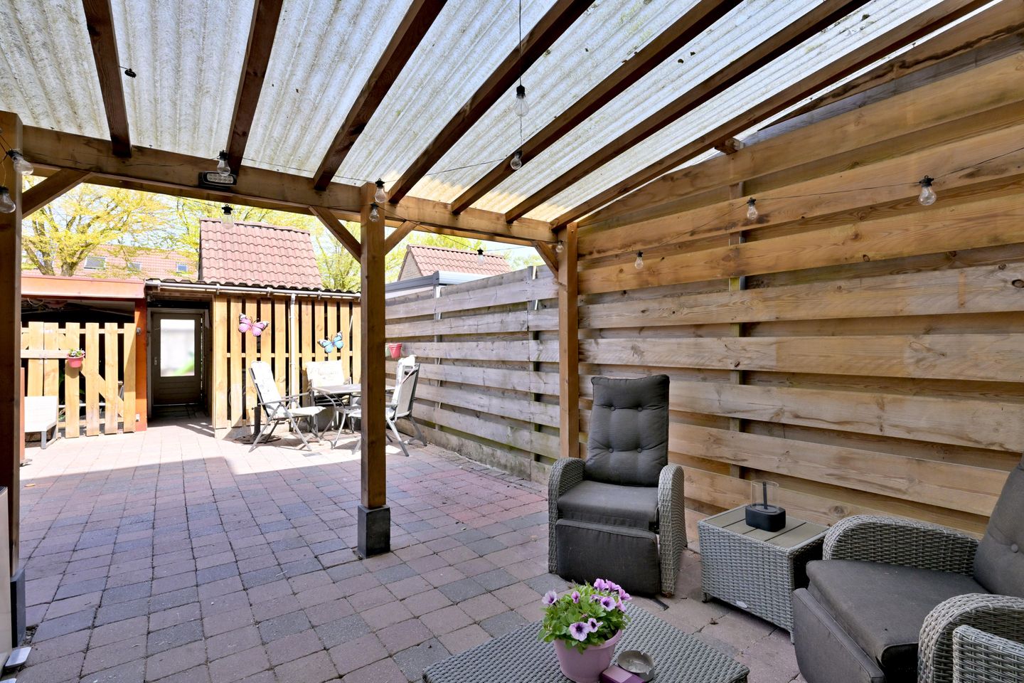 Foto 10 van Zenegroen 8