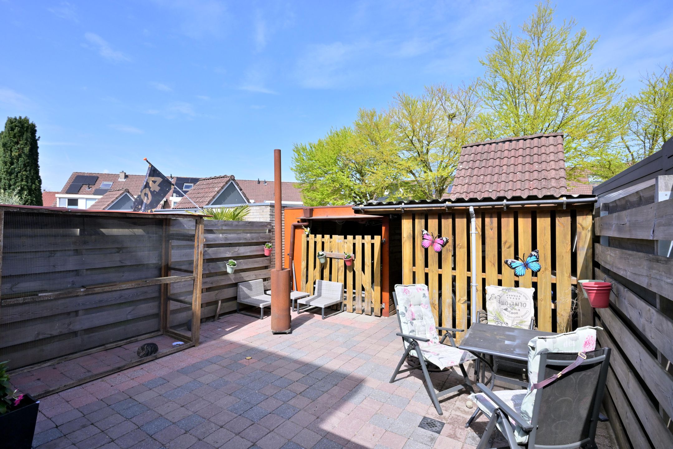 Foto 12 van Zenegroen 8