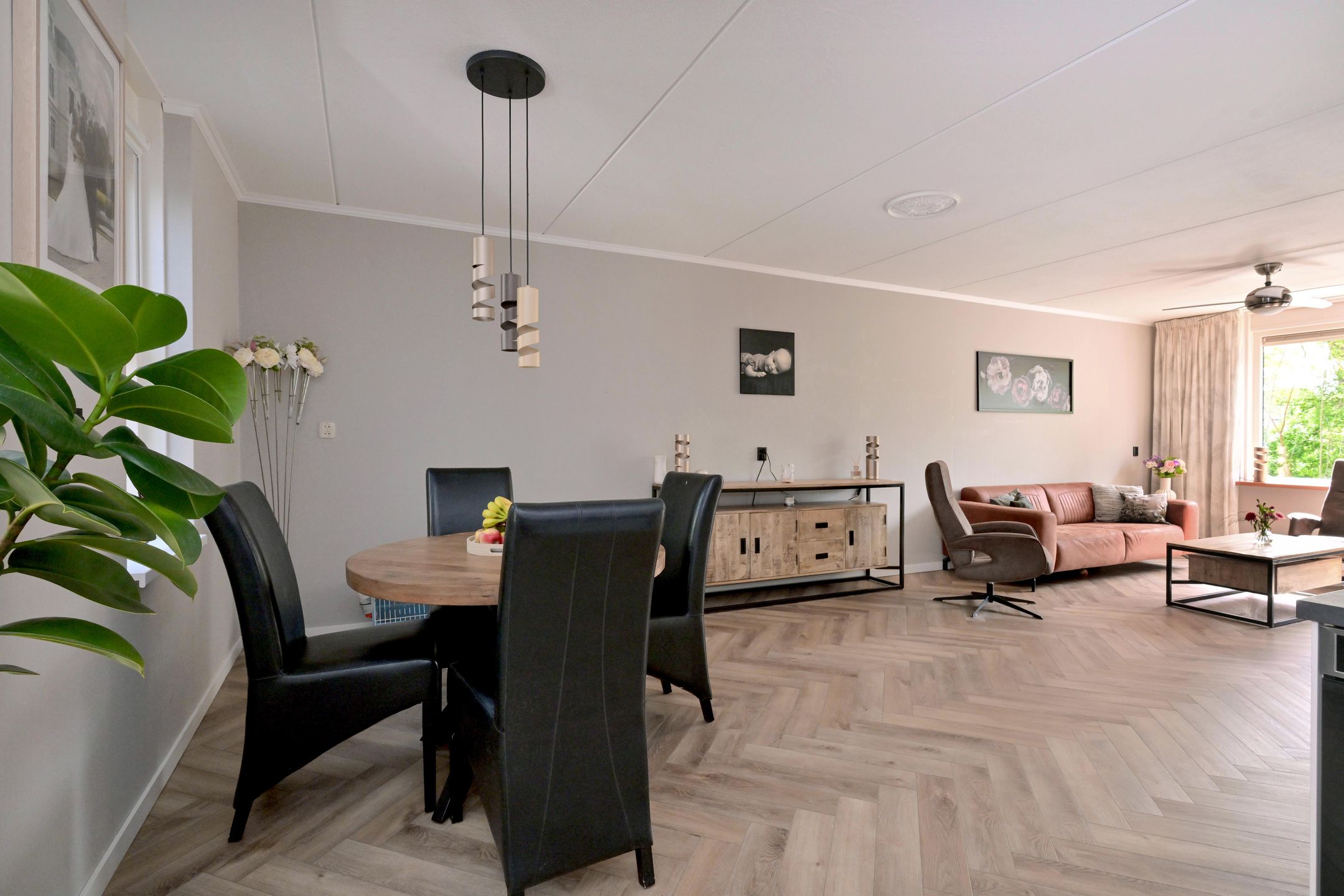 Foto 18 van Zenegroen 8