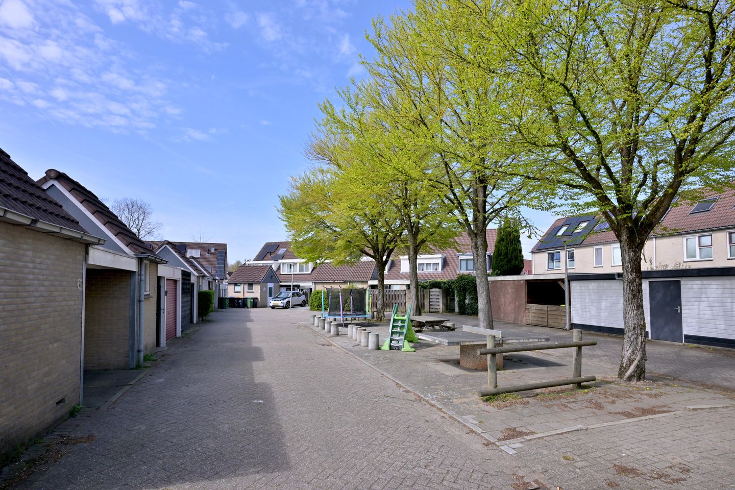 Foto 40 van Zenegroen 8