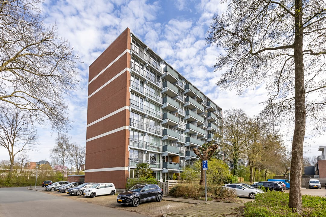 Foto 8 van Meerpaal 58